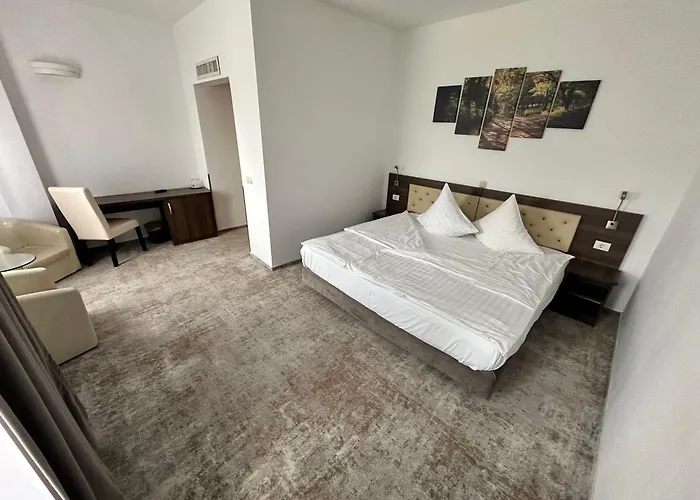 Neon Hotel Timisoara